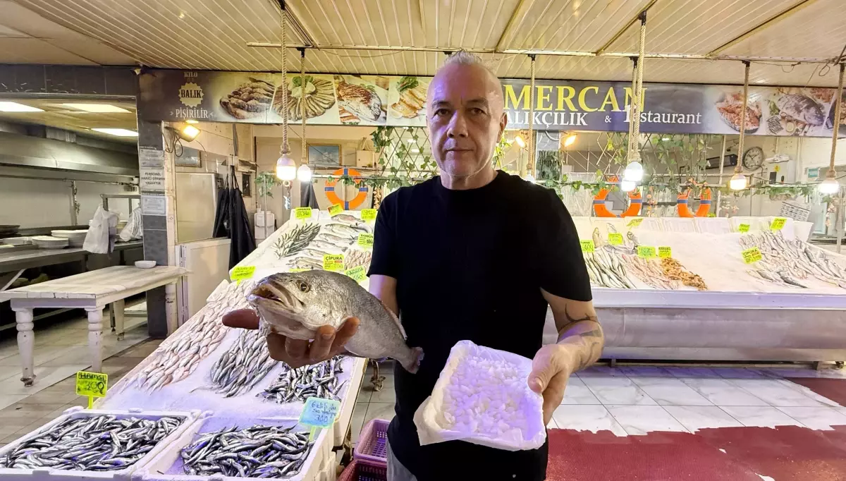 balikta sifali tas inanisi qQIZbMep