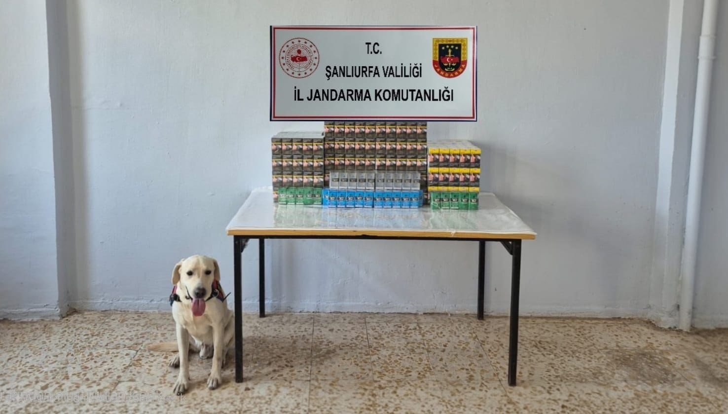 sanliurfada binlerce gumruk kacagi sigara ele gecirildi Sqb5abj6