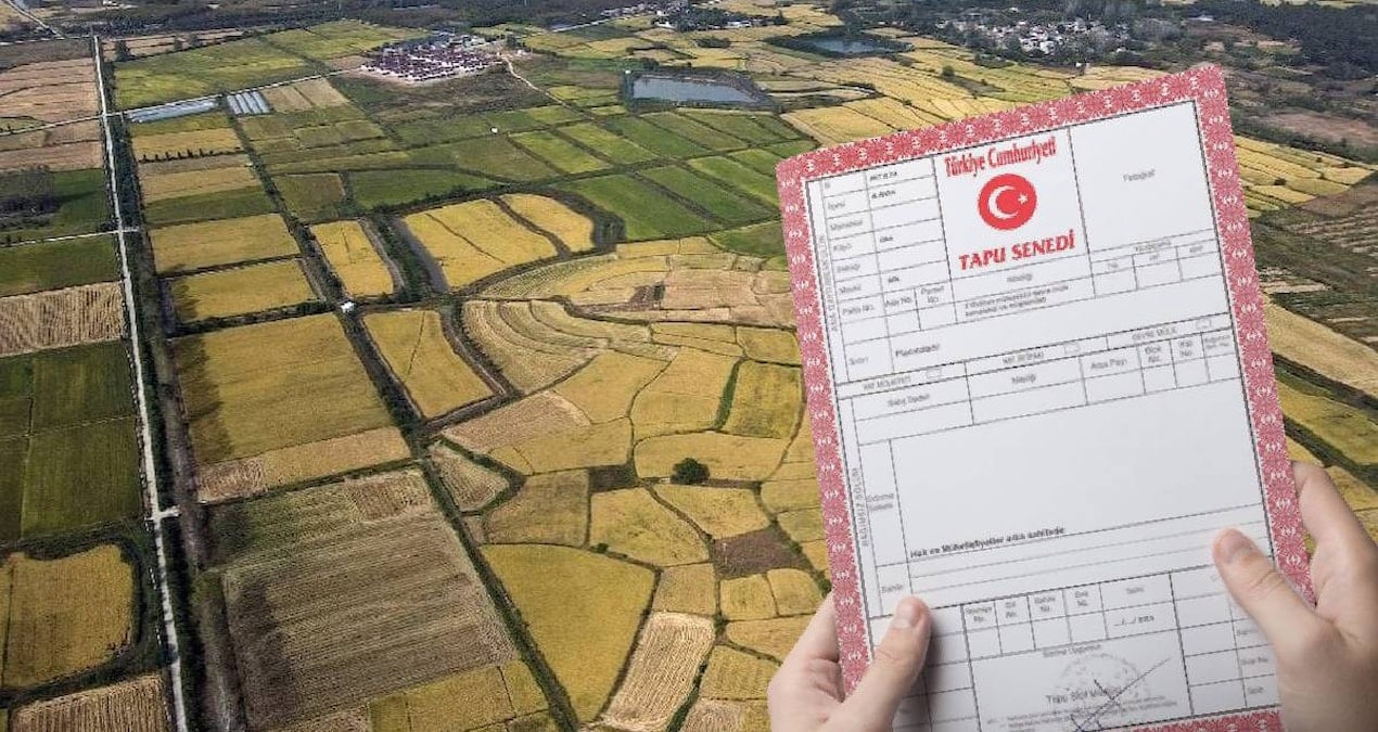 13 bin lirasi olan tapu sahibi olacak milli emlaktan dev arsa firsati tIwWykix.jpg