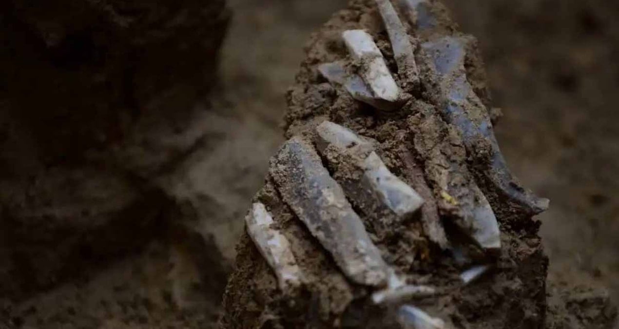 arkeologlar avcilarin ne tasidigini gosteren 30000 yillik alet cantasini ortaya cikardi MqflrIq1.jpg