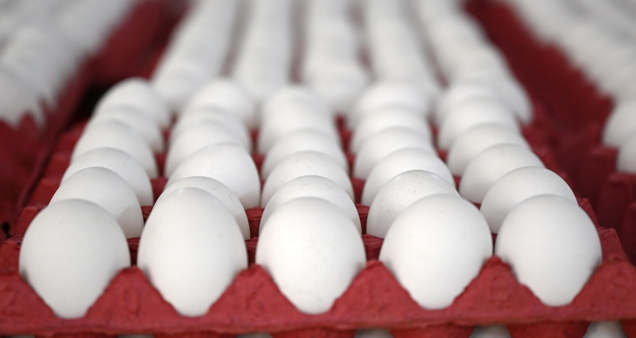 yumurtaya zam gelecek mi en yetkili isim acikladi znTYhEqK.jpg