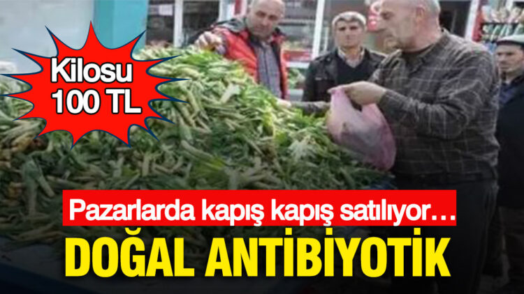 Kurtuluş Savaşı’nda halkı doyuran su değirmeni hala dönüyor