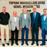Haber gorseli